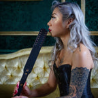 Temptasia Safe Word – Kit de Bondage con Maletín Completo - juego sensorial erótico